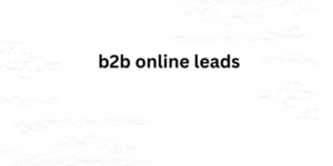 b2b online leads