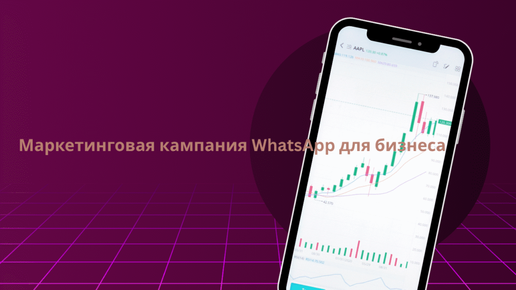 Маркетинговая кампания WhatsApp для бизнеса